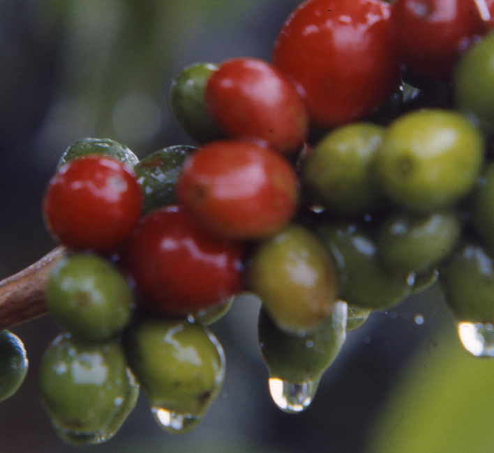 captura_de_pantalla_2013-05-10_a_las_11.14.58_19.png