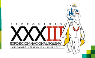 fedequina_2.jpg
