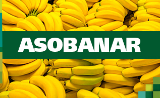 asobanar.jpg