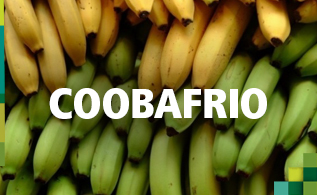 coobafrio.jpg