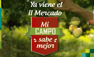 micampo.jpg
