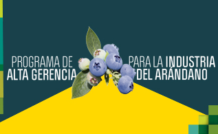 arandano_2.jpg