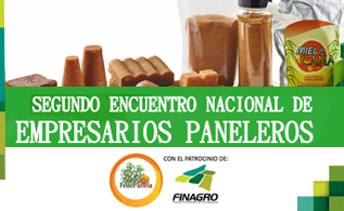 ecuentro-panela.jpg