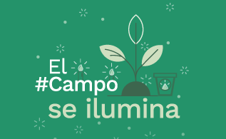 elcampo.png
