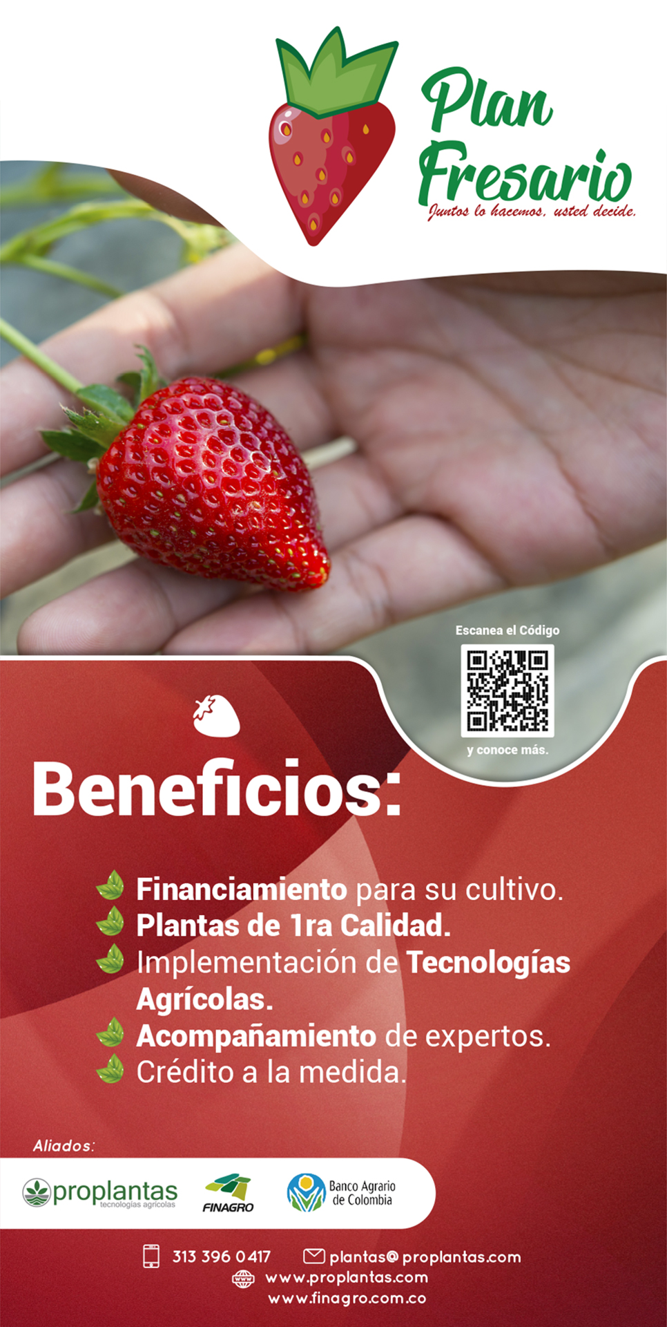 pendon-planfresariobeneficios.jpg