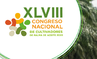eventos_palma.jpg