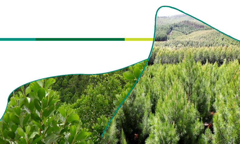 evento-forestal.jpg