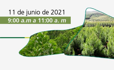 home-evento-forestal.jpg