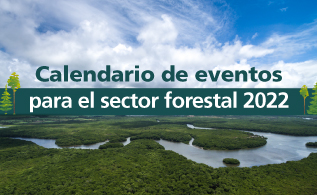 080222-direccionforestal-miniatura.jpg