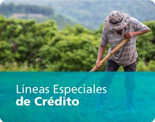 Líneas Especialdes de Crédito