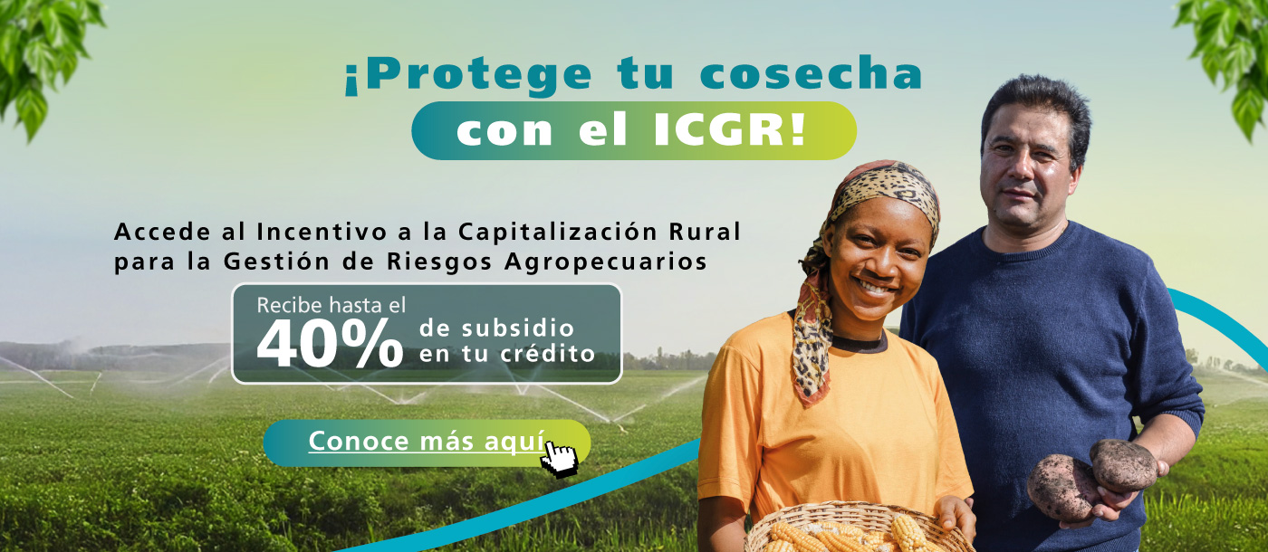 Campesino y Campesina mostrando sus cosechas de maíz y papá en un cultivo