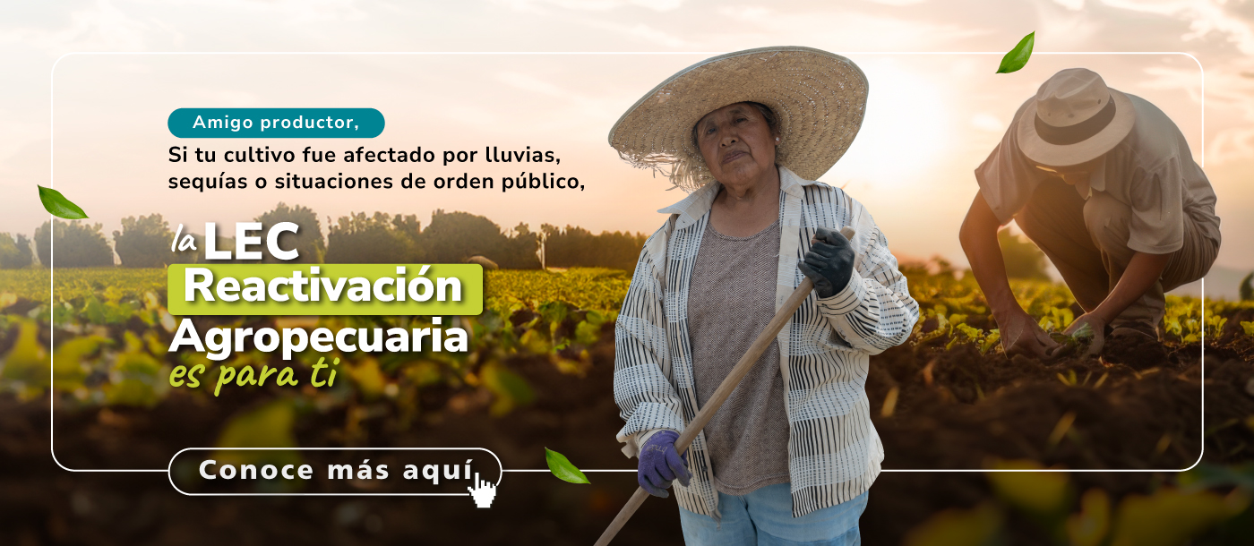 Campesina y campesino en cultivo