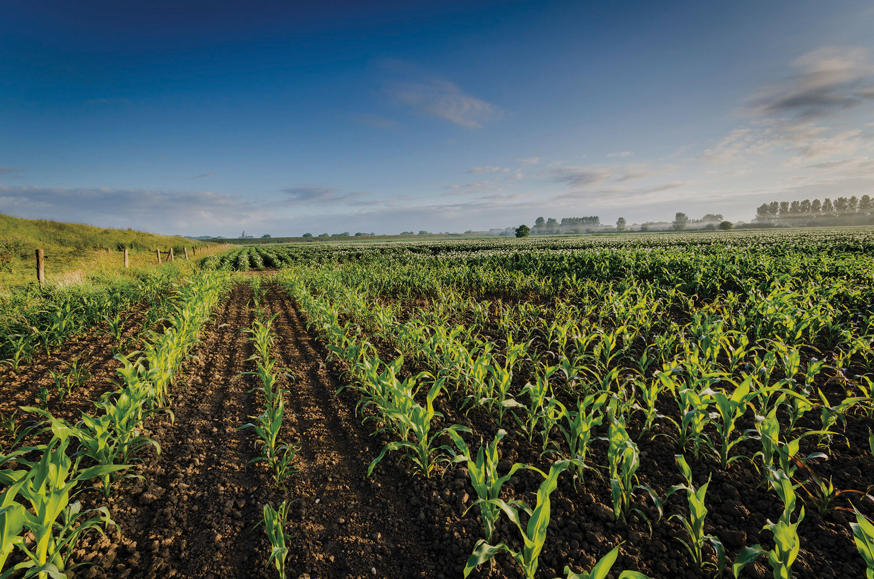 Título 1: Crédito Agropecuario y Rural