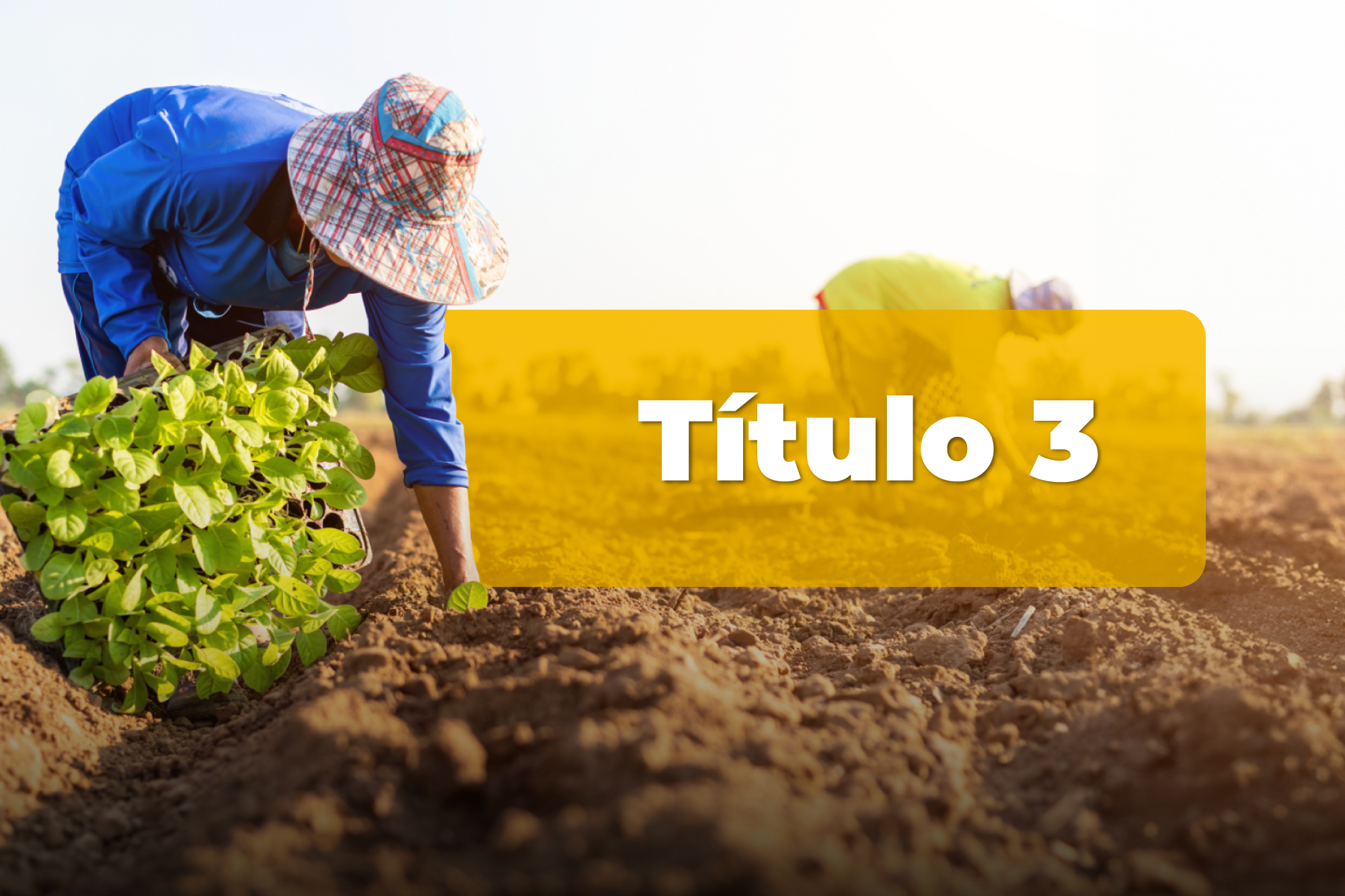 Título 3: Incentivos