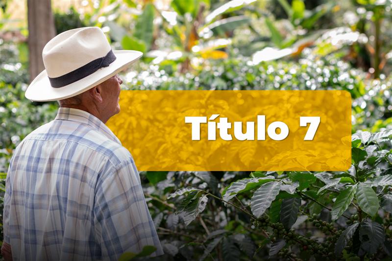 Título 7: Instructivo técnico - incentivo al seguro agropecuario (ISA)