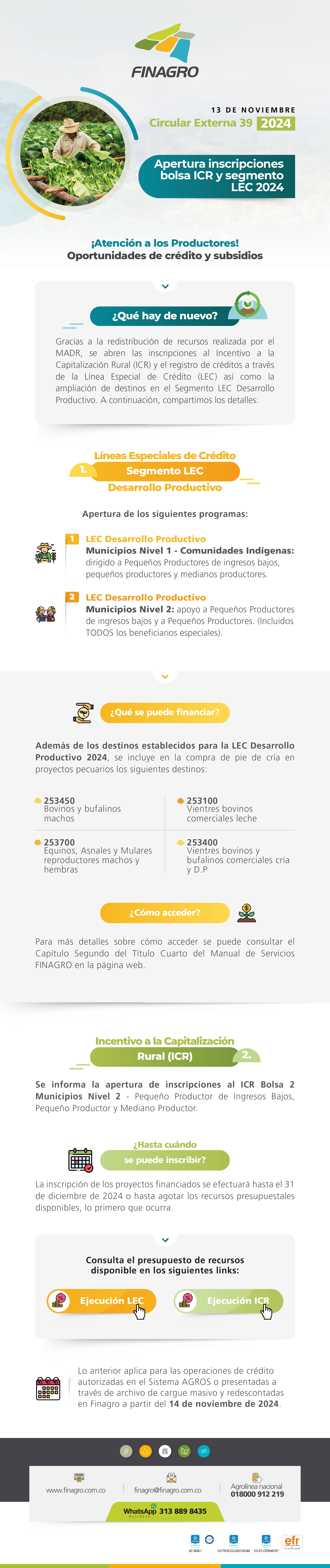 infografia ejemplo