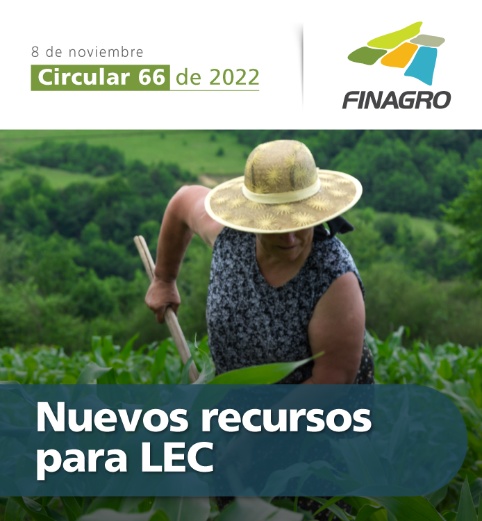 circular 66 de 2022