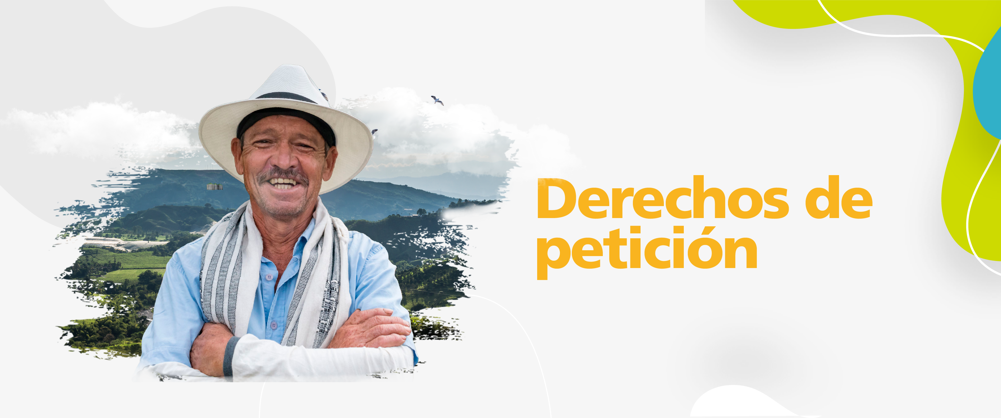 Derechos de petición