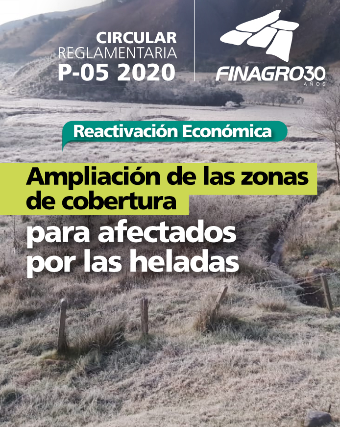 05_circular_lec_reactivacion-economica_portada_2.jpg