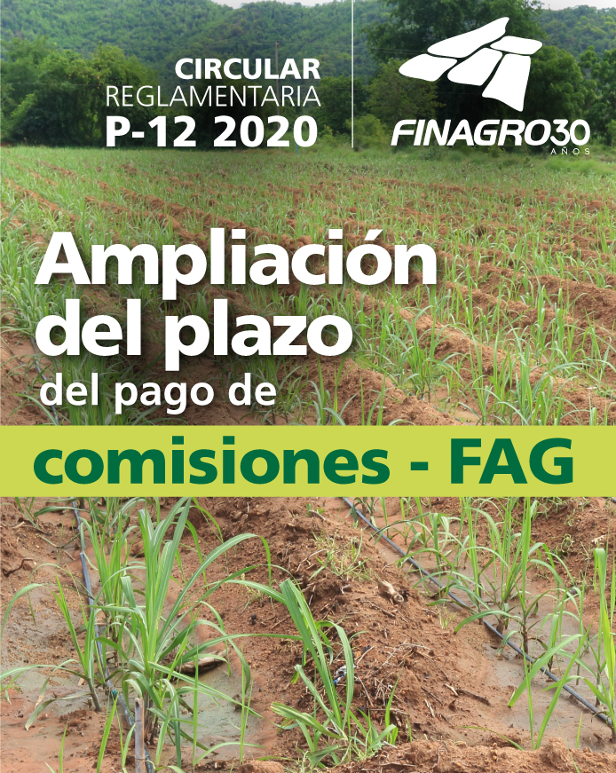 12_ampliacion-del-plazo-fag_p_0.jpg