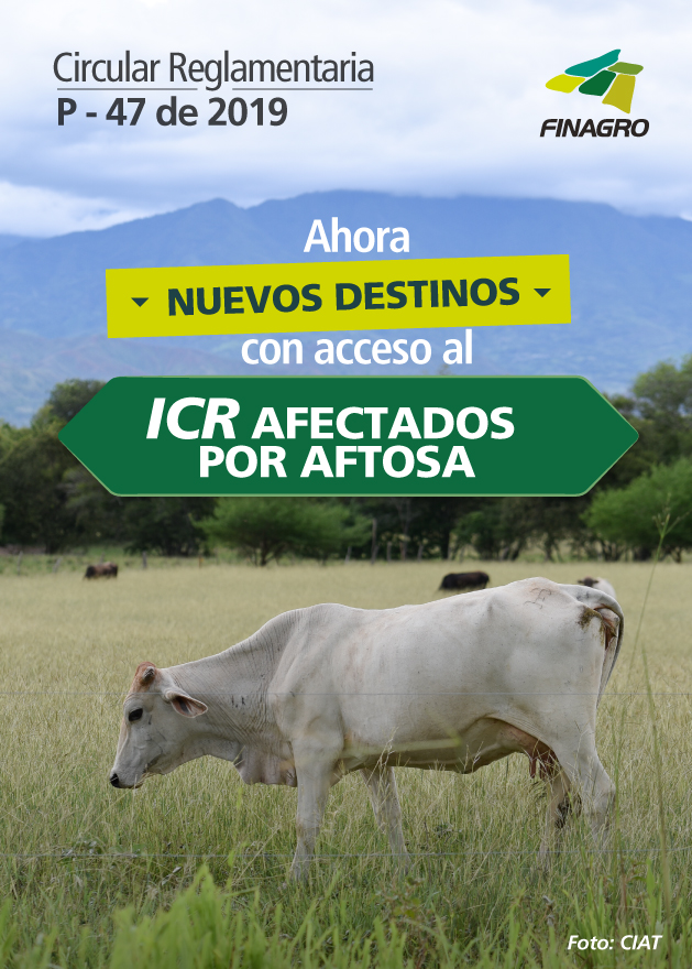 circular-47-_icr_aftosa_portada.jpg