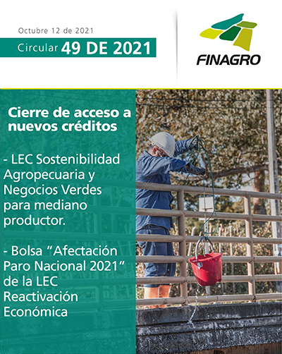 circular-49-portada_0.jpg