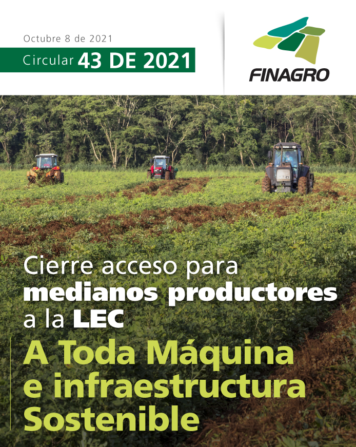 circular_43_2021_portada.jpg