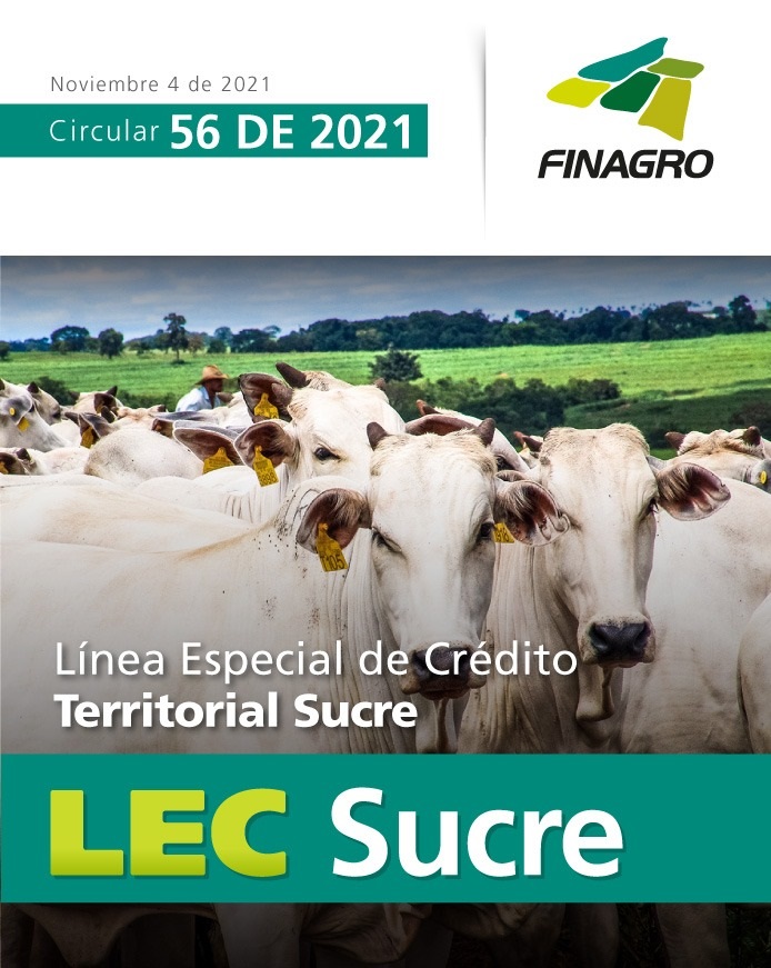 circular_56_lec_sucre_boton_0.jpg