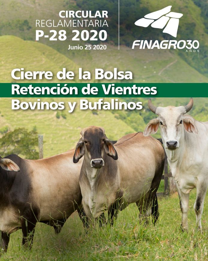 p28_portada.jpg