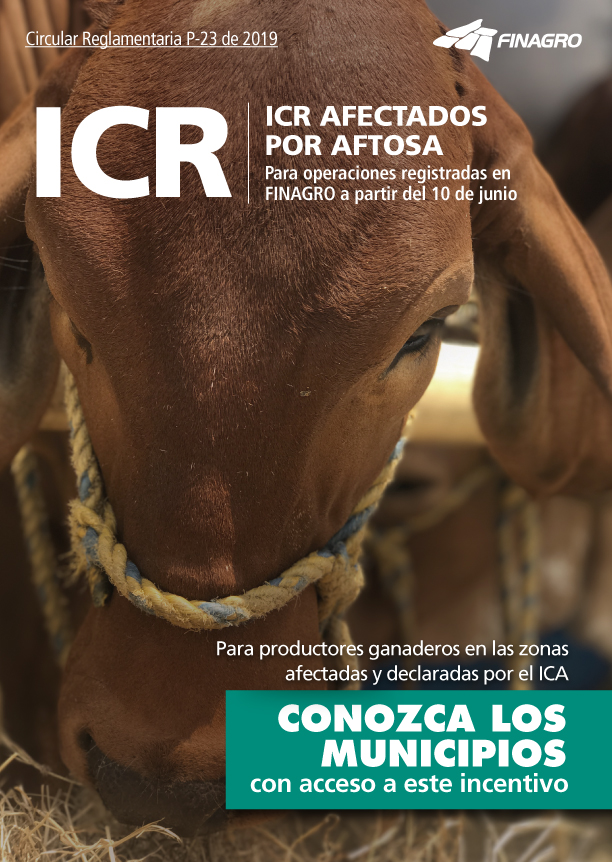 portada-icr_circular23_0.jpg