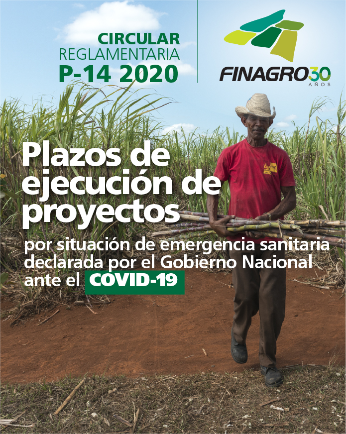 portada_p14-100.jpg