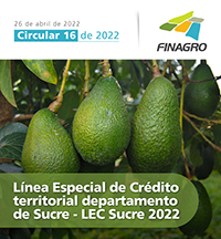 Circular 16 de 2022