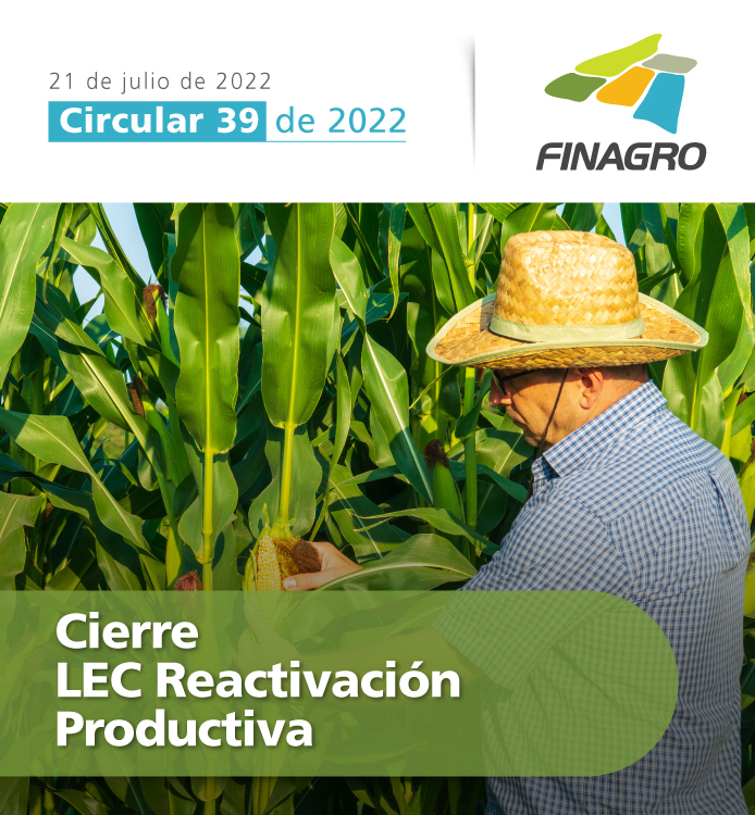 Circular 39 de 2022