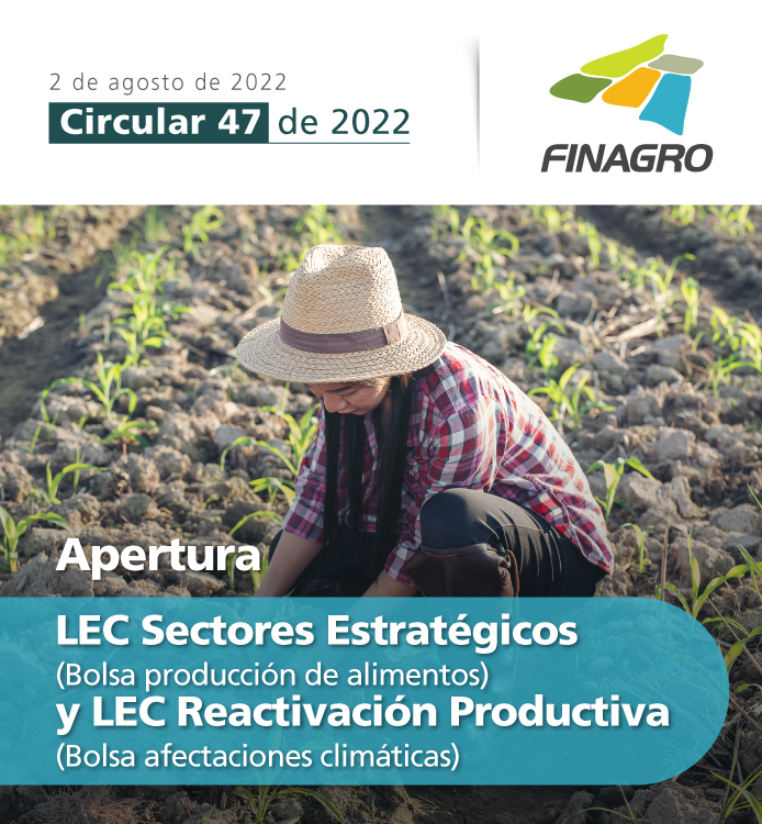 Circular 47 de 2022