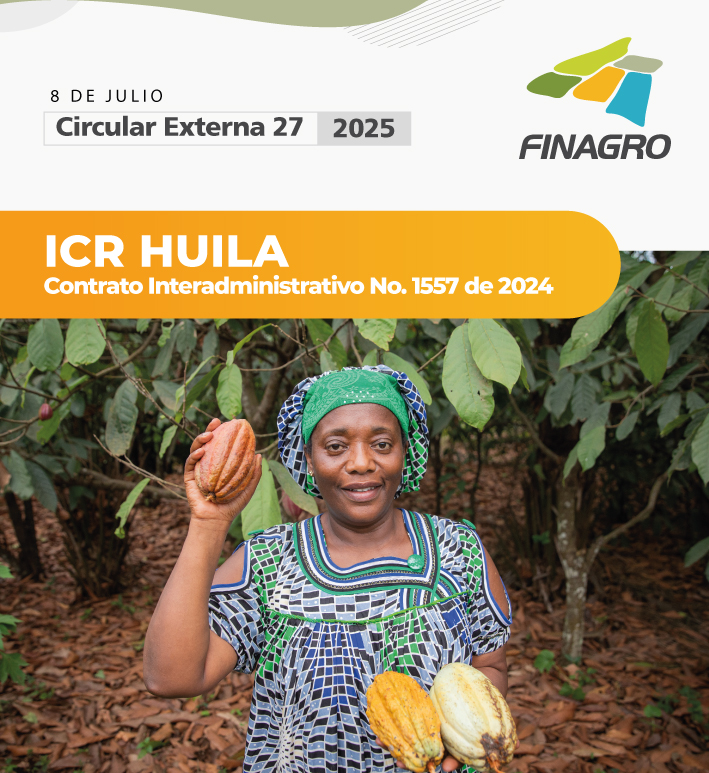 Circular Externa 27 de 2025