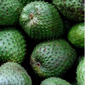 -_a_guanabana_santander.jpg