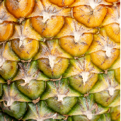 -_a_pina_golden_santander.jpg