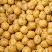 _b1_papa_criolla_cundinamarca.jpg
