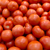 _b2_tomate_chonto_caldas.jpg