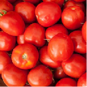 portadas_a_tomate_chonto.jpg