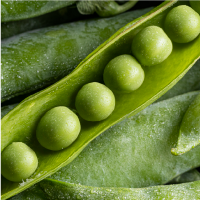 arveja verde san isidro