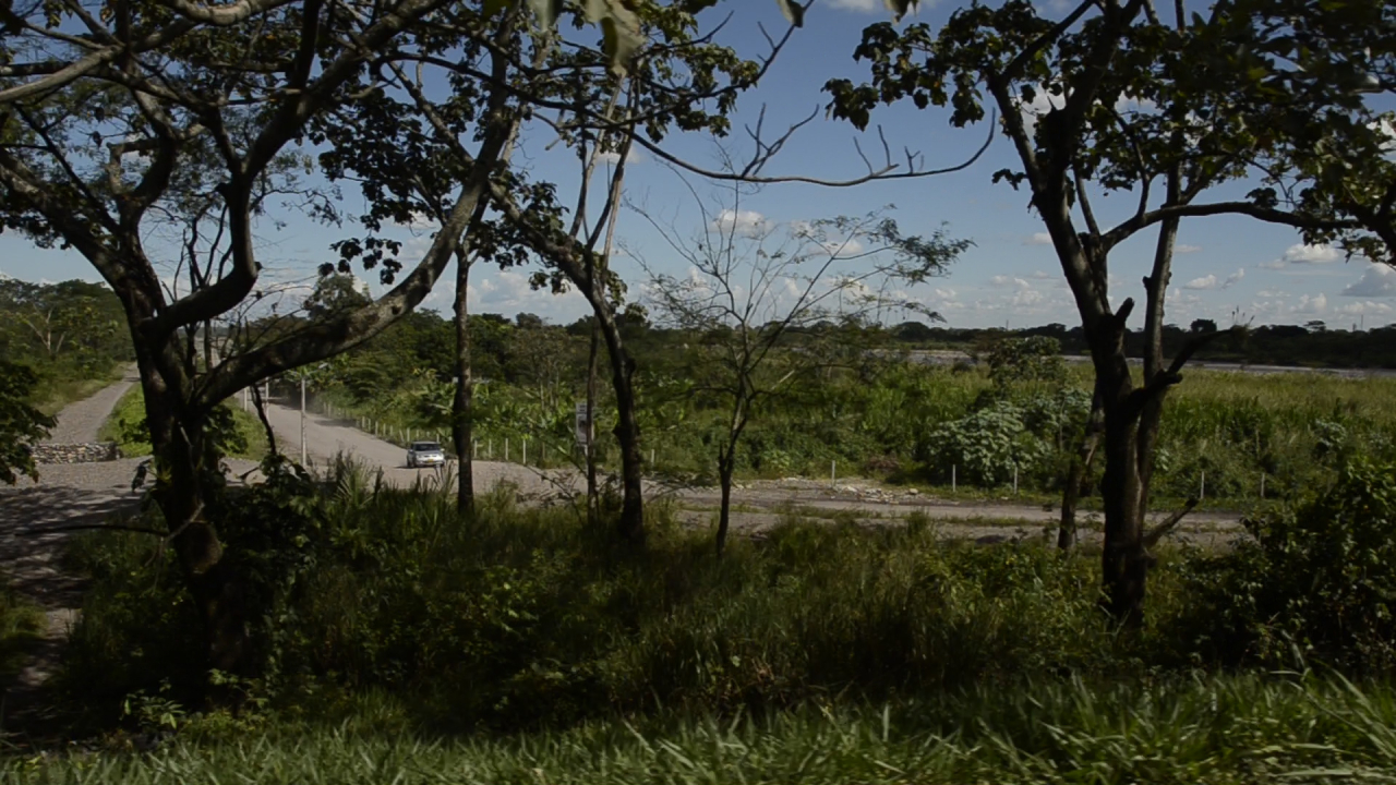 _dsc1450.mov_.still002.jpg
