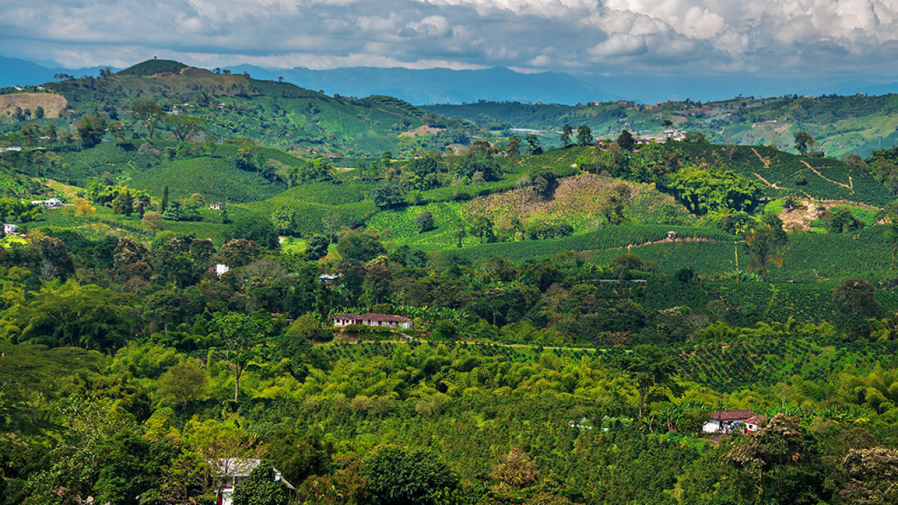 shutterstock_114078304.jpg