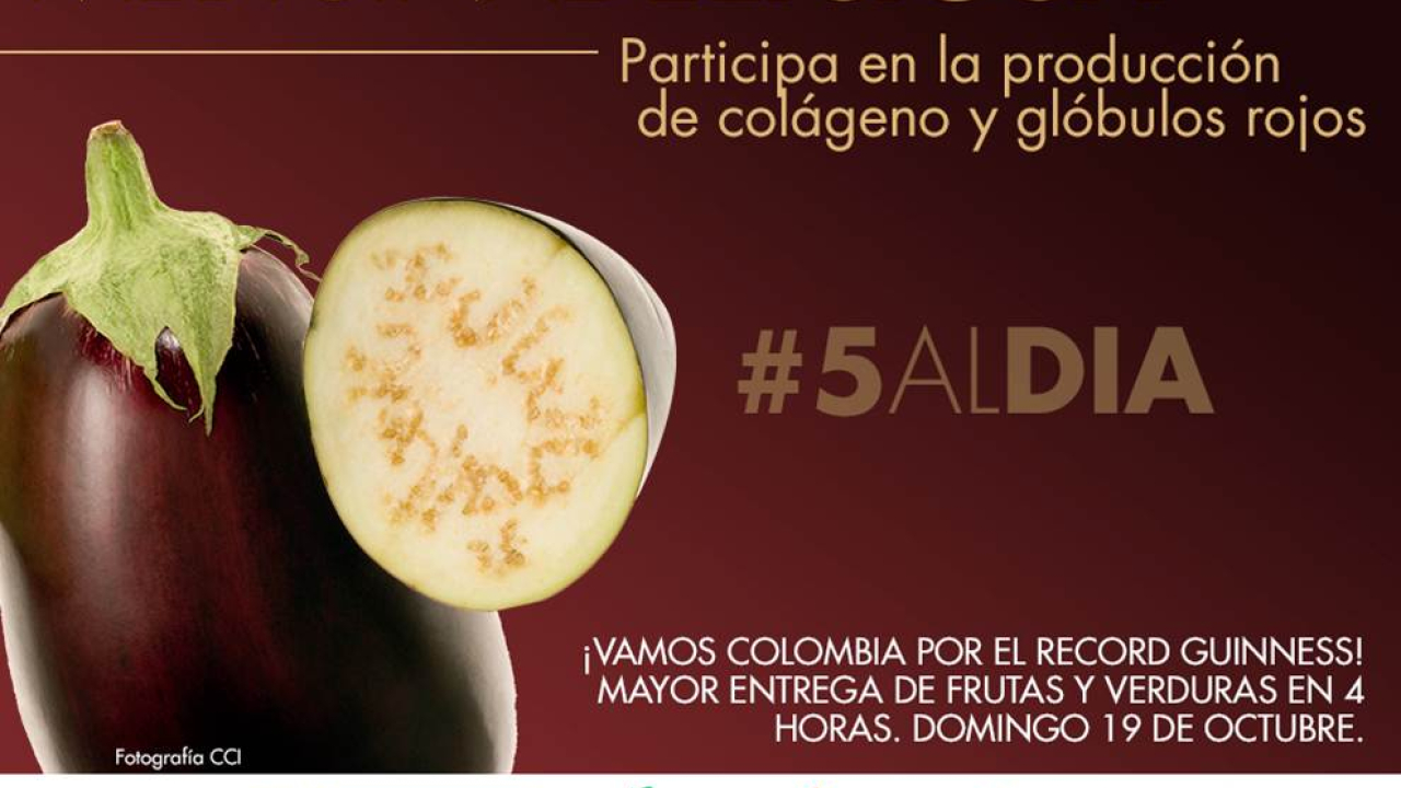 imagen14.jpg