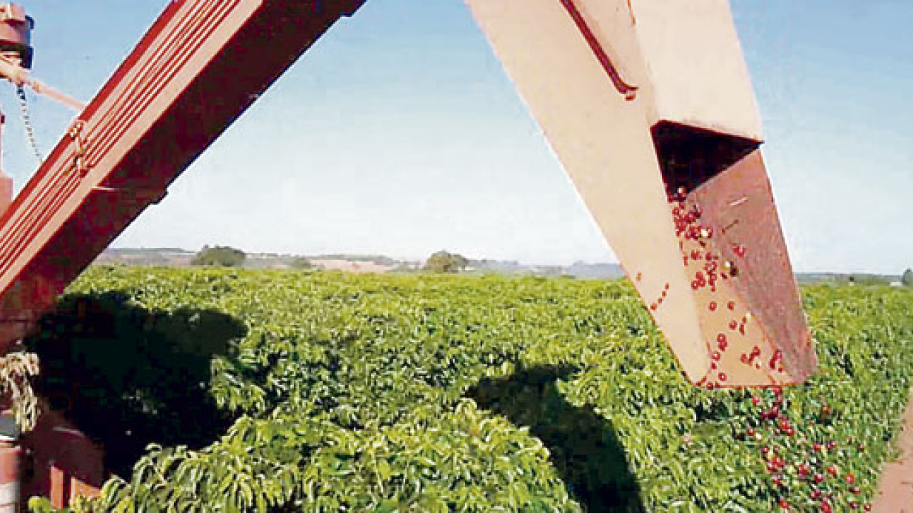mecanizacion-del-campo-foto-2.jpg