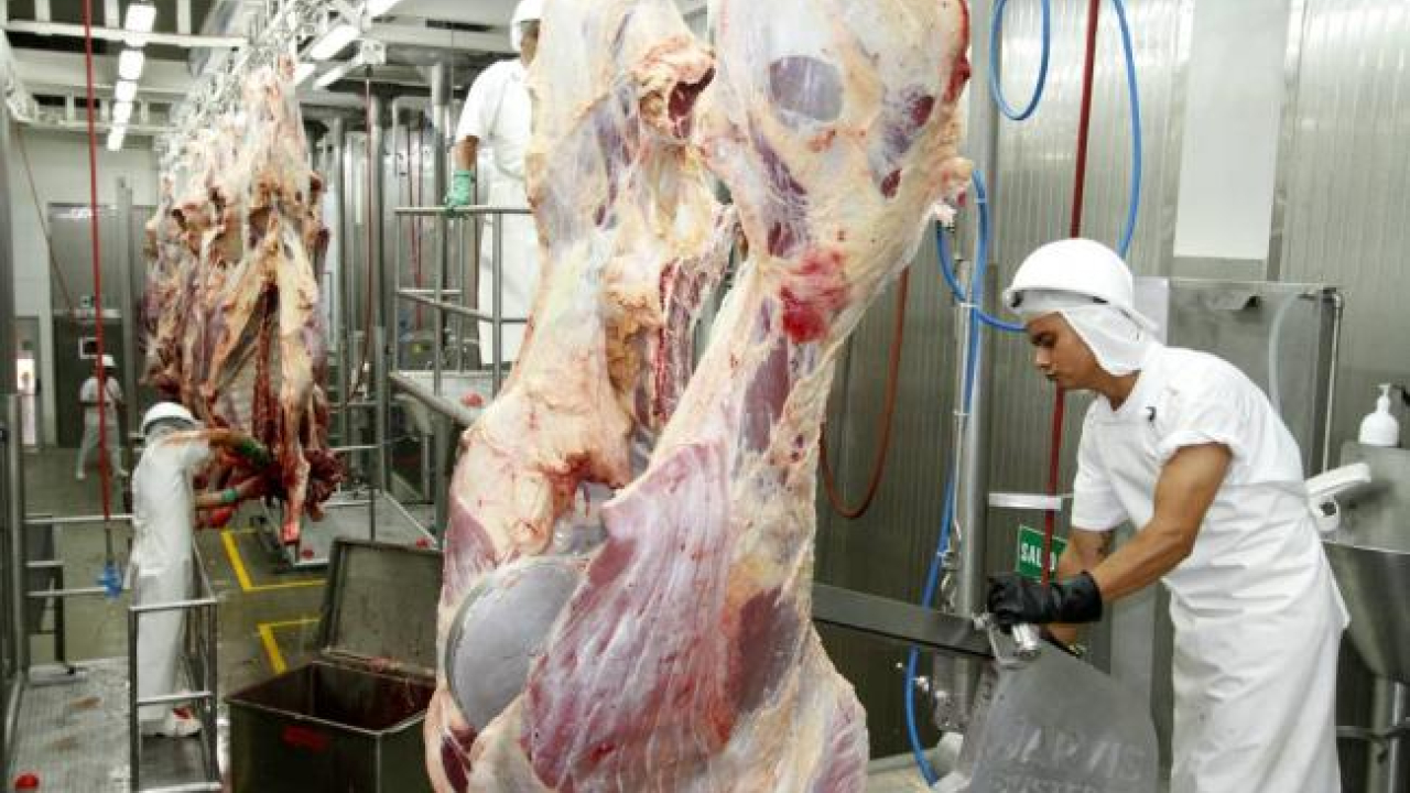 gobierno_logra_875_de_admisibilidad_para_el_agro.jpg