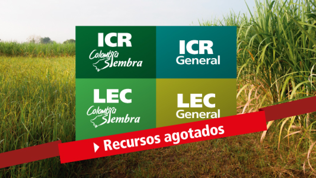 noticia_0.jpg