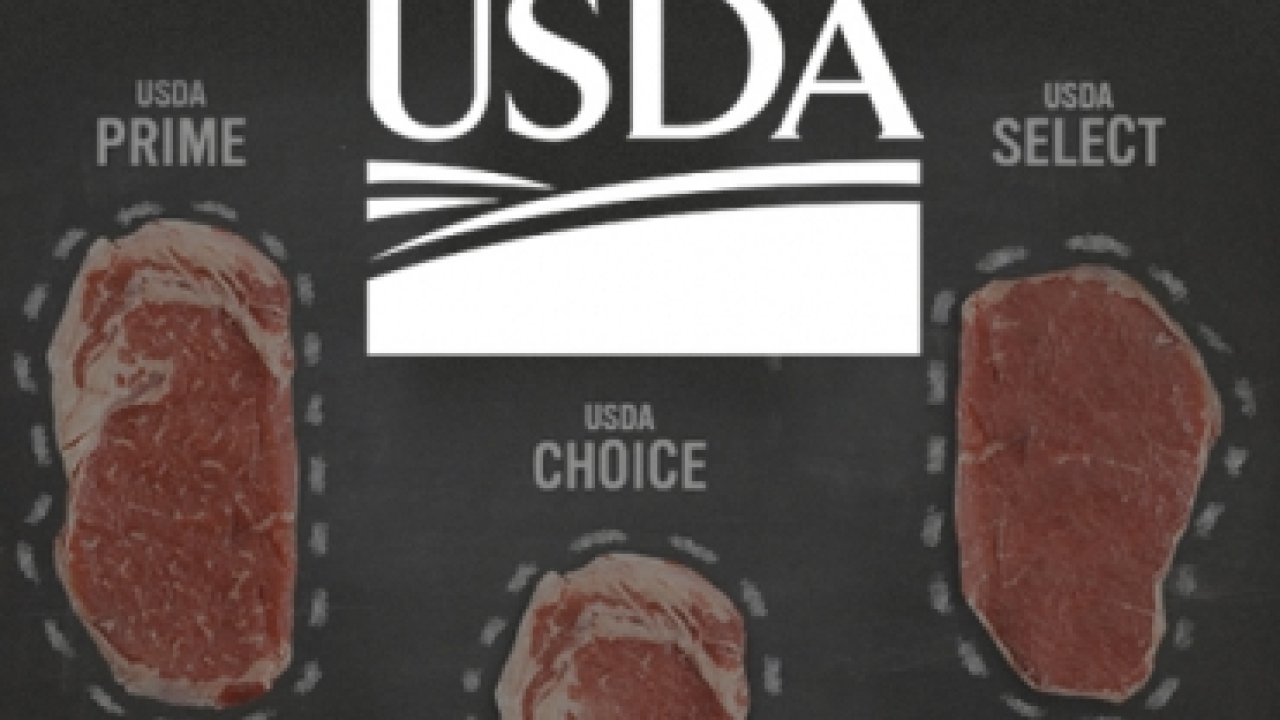 usda_carne.jpg