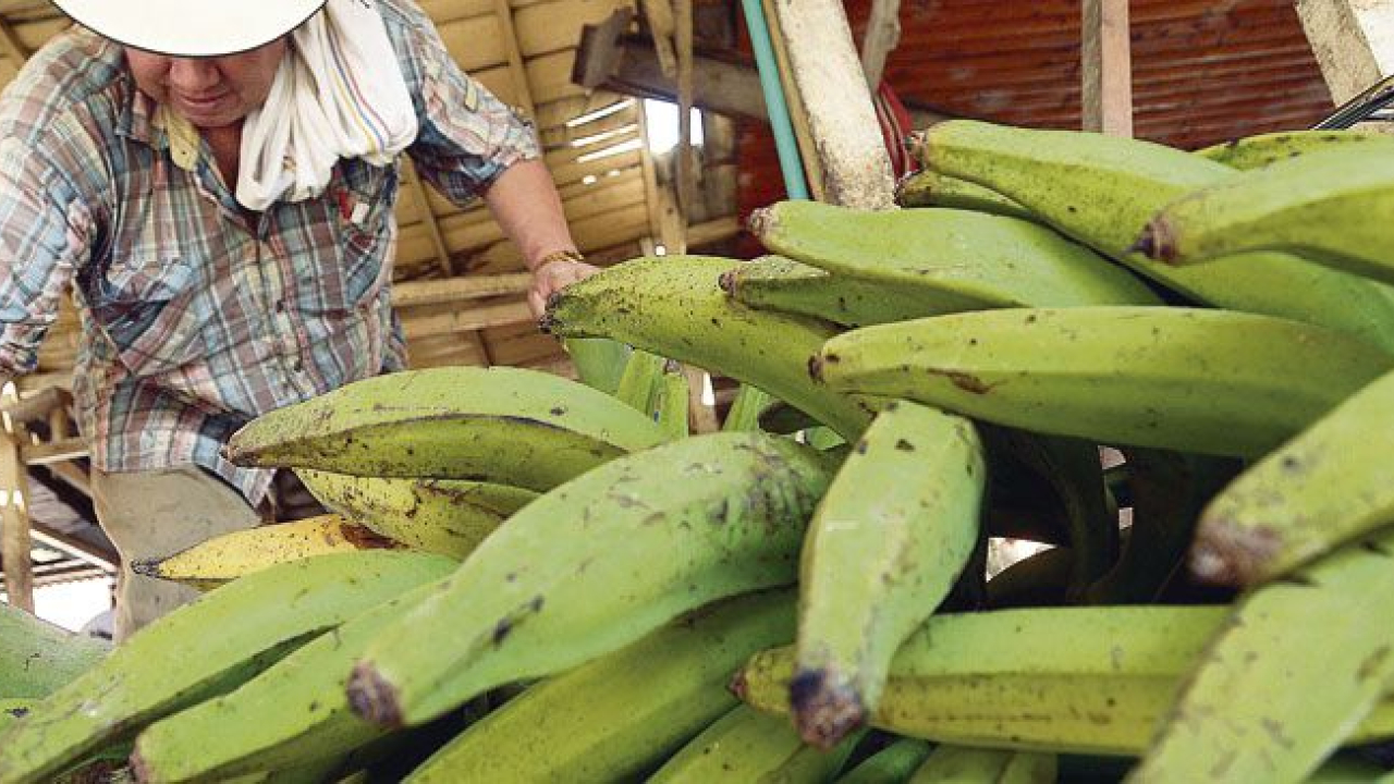 nota-agro-foto-2.jpg