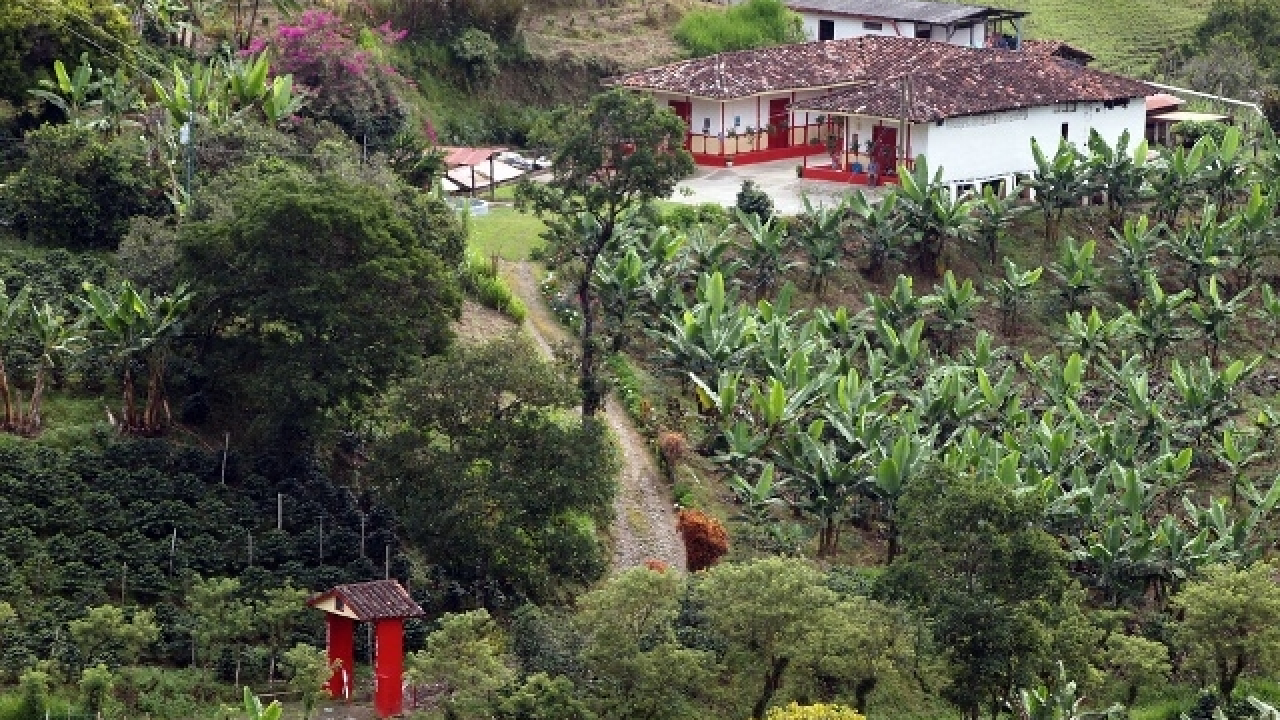 20170314135144138finca1_1.jpg